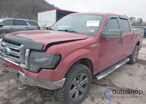 2010 Ford F-150 Xlt из США, поврежденный, VIN 1FTEW1E89AFA54971